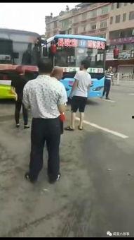 吃瓜群众的视频大全