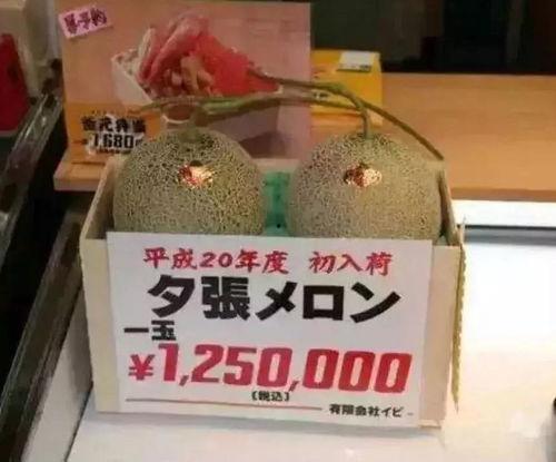 娱乐吃瓜酱玉玺