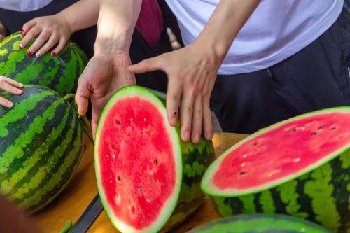 娱乐吃瓜大英子