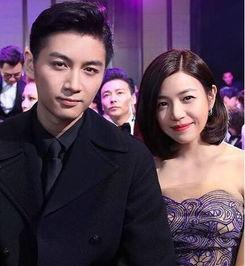 娱乐陈晓吃瓜小说下载