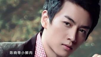 娱乐陈晓吃瓜小说下载