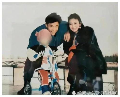 娱乐圈吃瓜合集有一本书