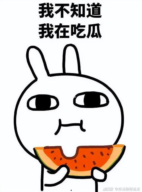 吃瓜娱乐间准吗,揭秘娱乐圈幕后真相，准度惊人！