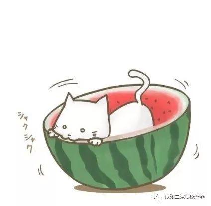 吃瓜群众图片可爱头像动漫,动漫风吃瓜群众头像大揭秘