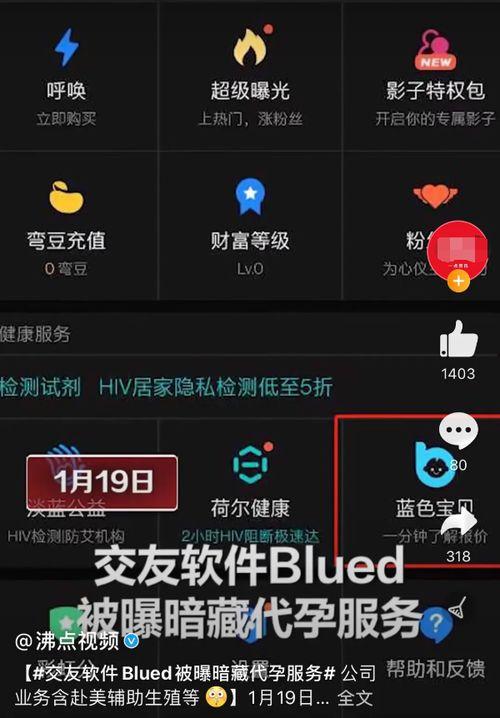 娱记娱乐吃瓜,娱记吃瓜大作战，明星幕后故事大曝光！